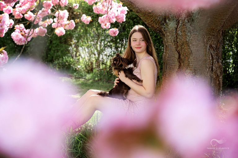 Girl mit Chihuahua auf dem Arm in rosarotem Kirschblütenmeer, Fotoshooting Hund und Mädchen